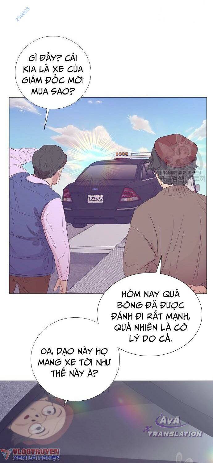page_13.jpg