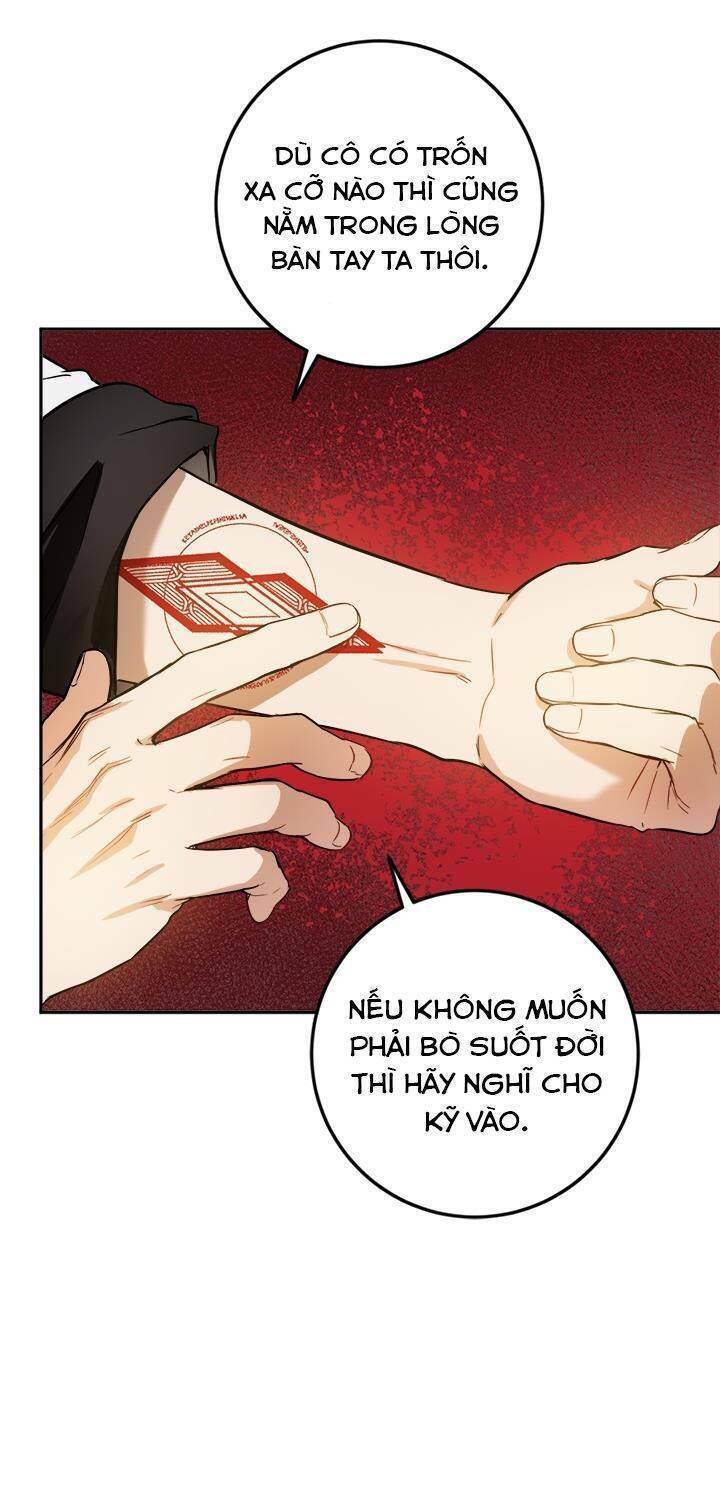 page_37.jpg