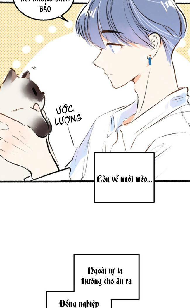 page_19.jpg