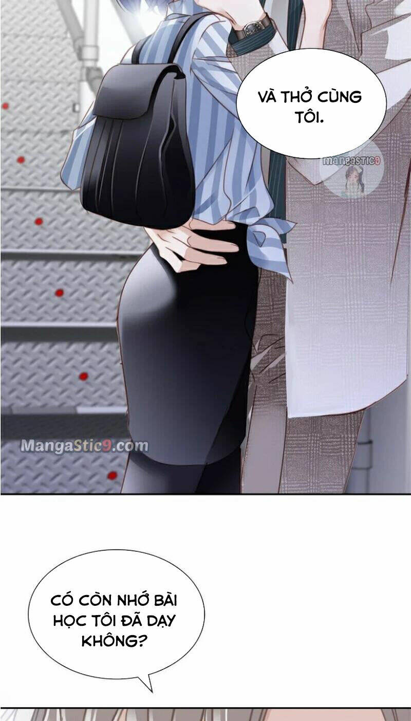 page_21.jpg