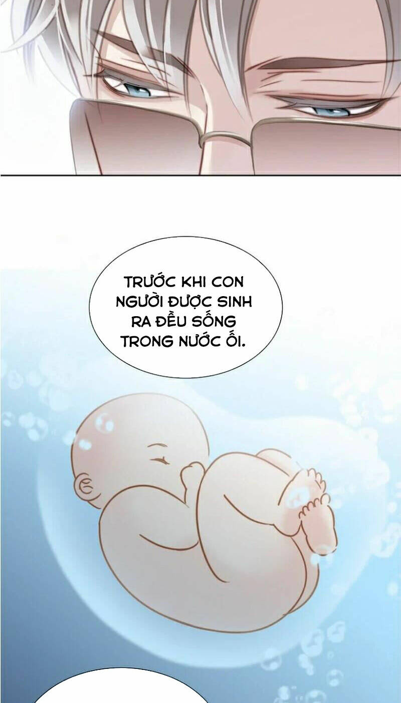 page_22.jpg