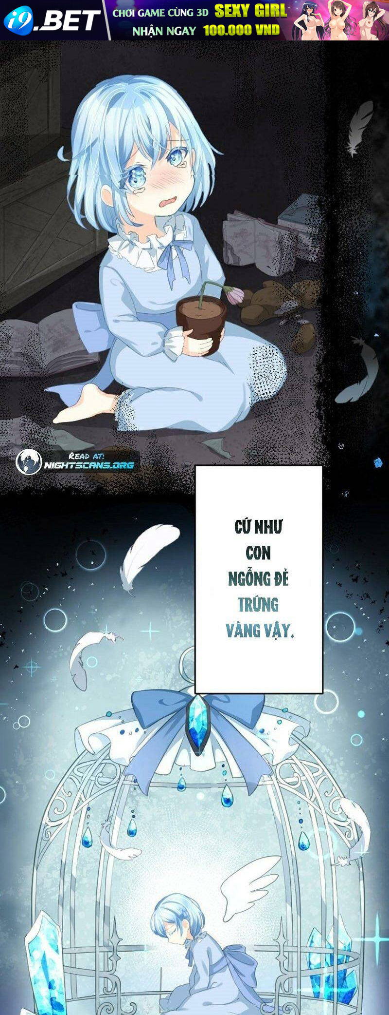 page_27.jpg