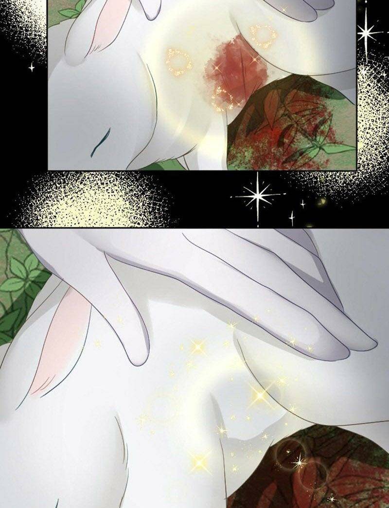 page_20.jpg