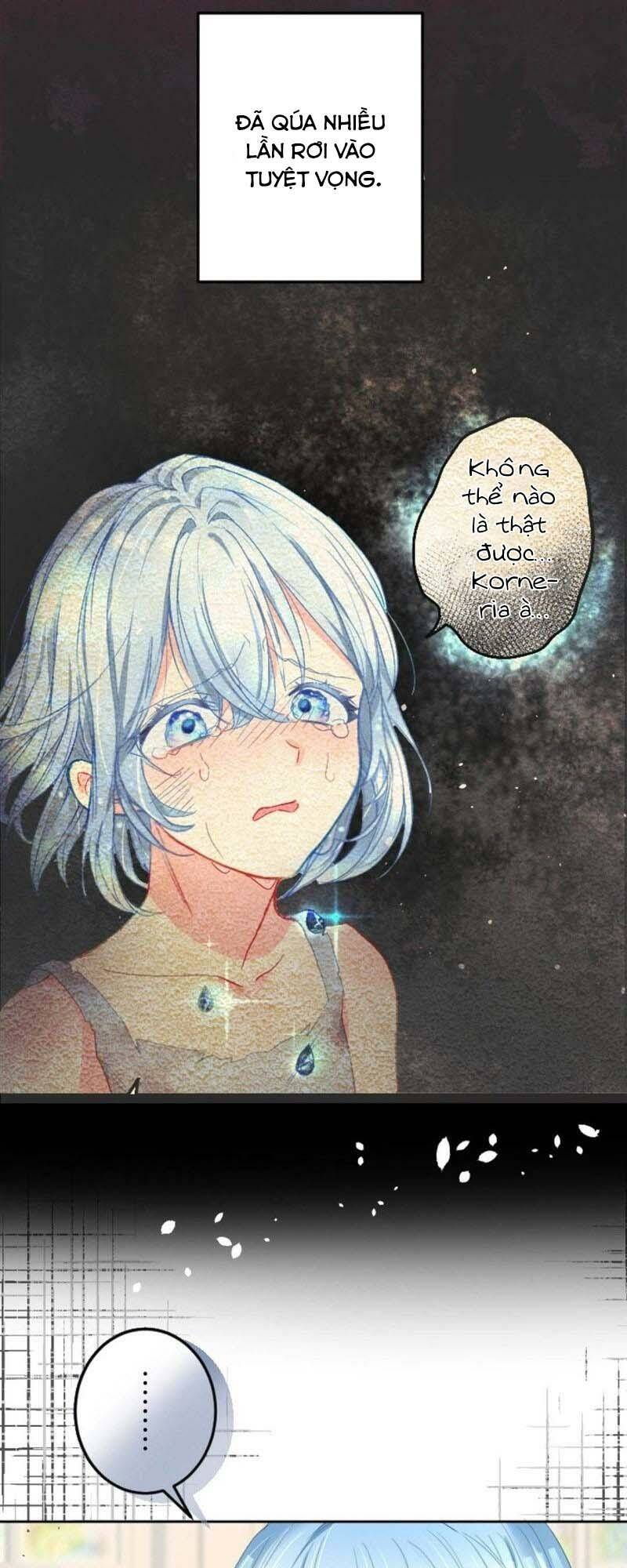 page_23.jpg