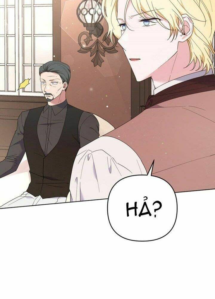 page_29.jpg