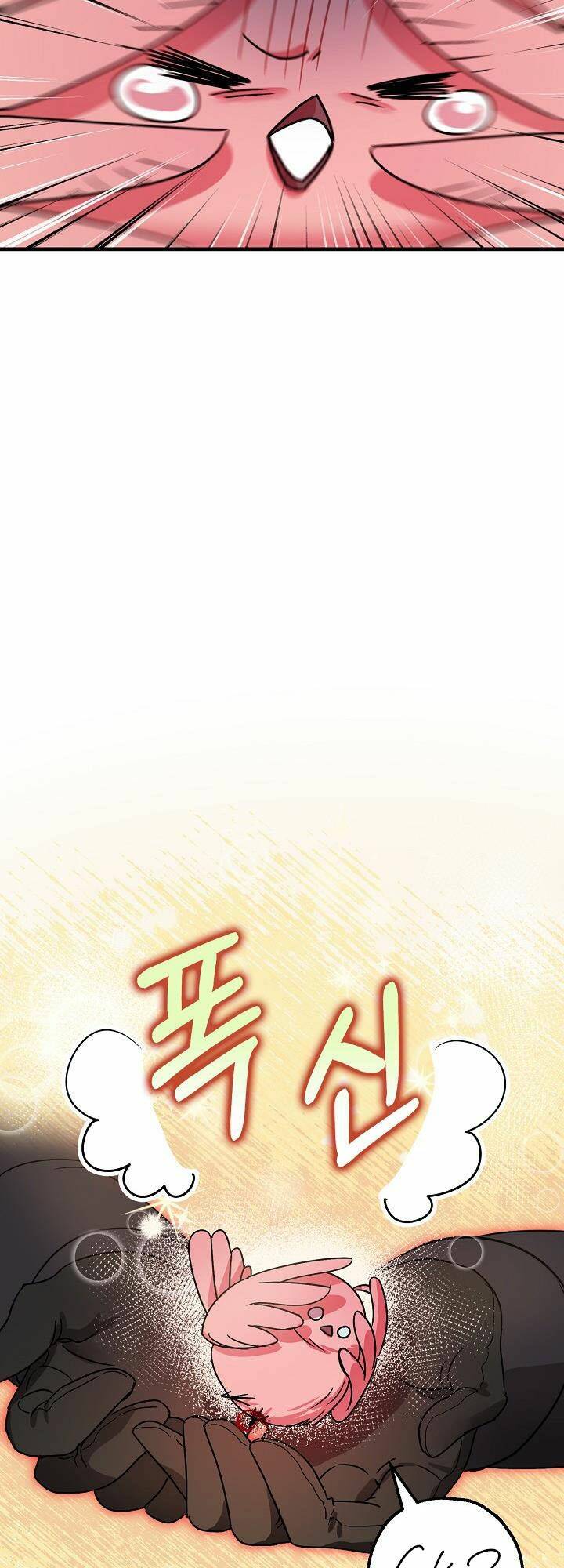 page_21.jpg