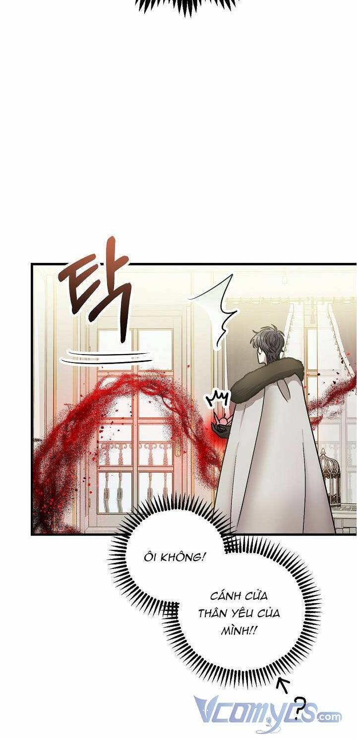 page_24.jpg