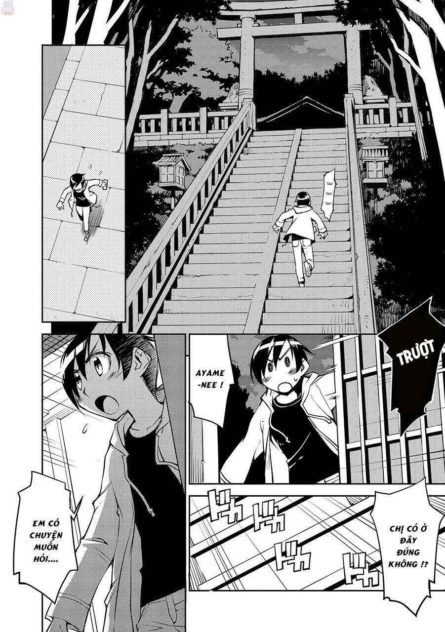 page_17.jpg