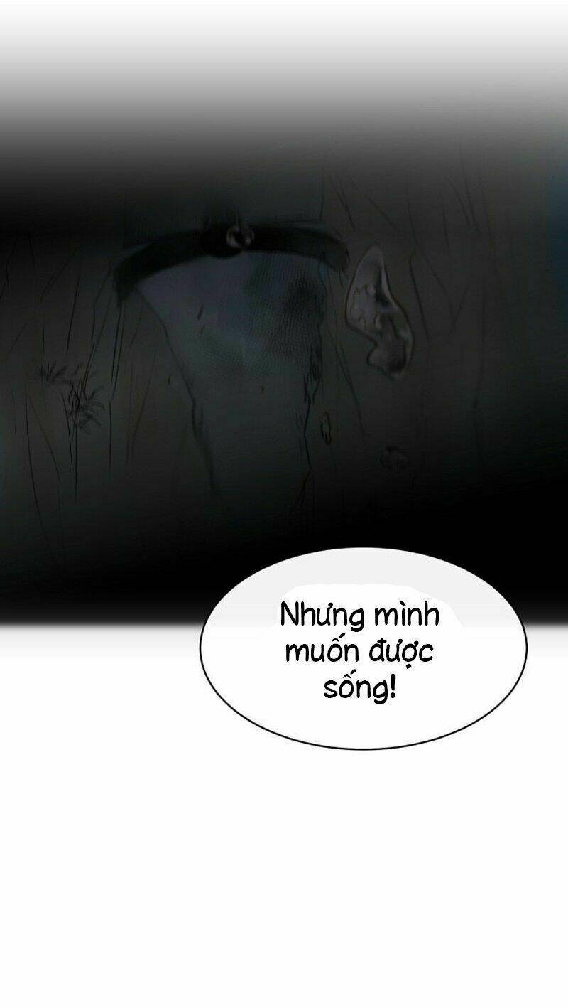 page_49.jpg