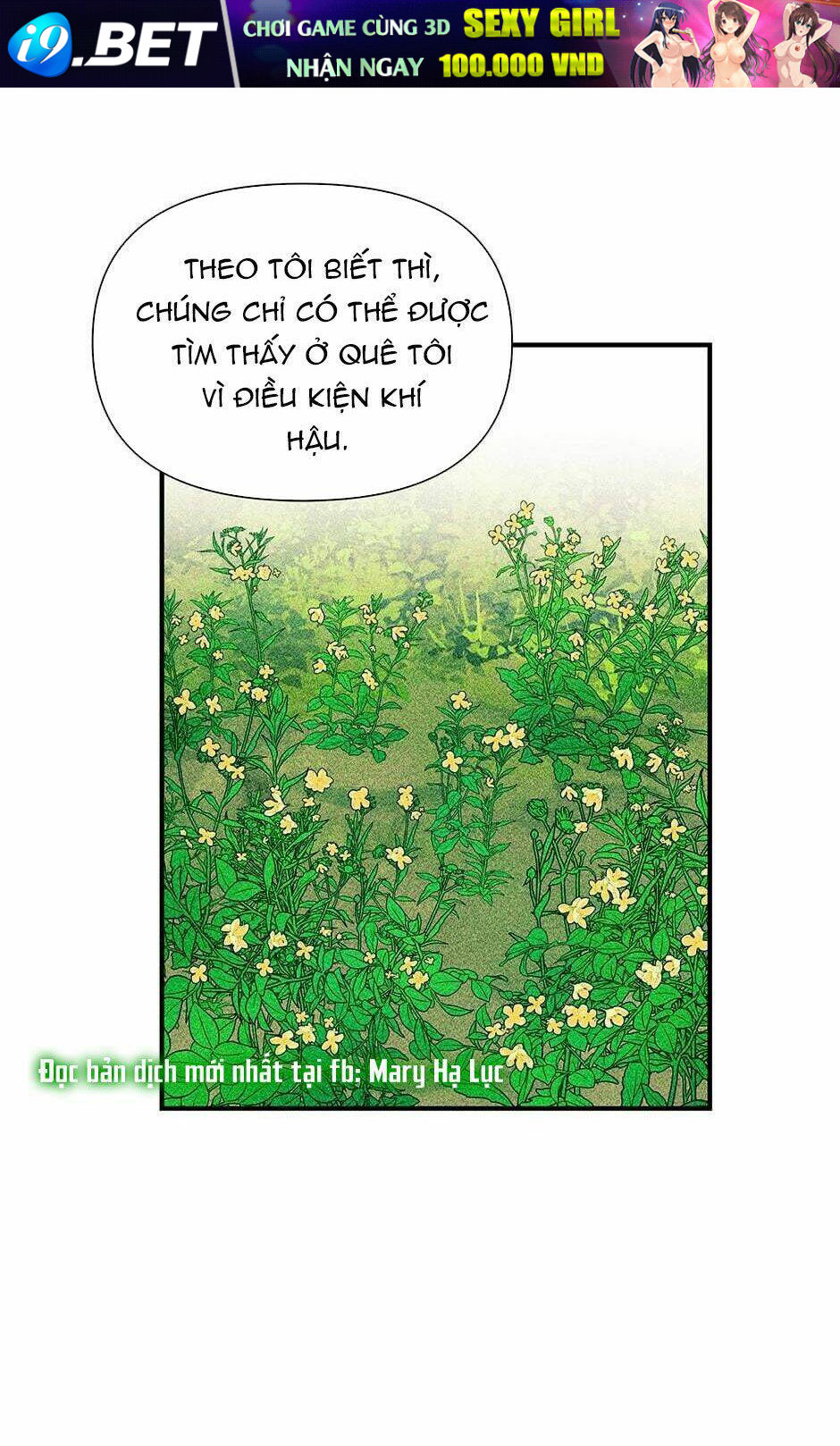 page_63.jpg