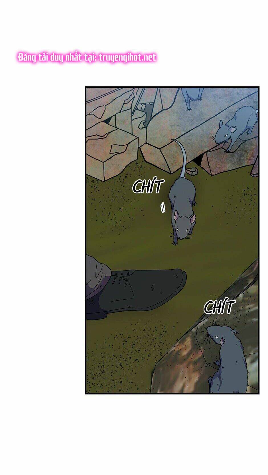 page_55.jpg