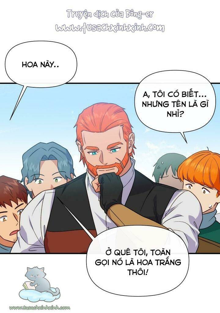 page_19.jpg