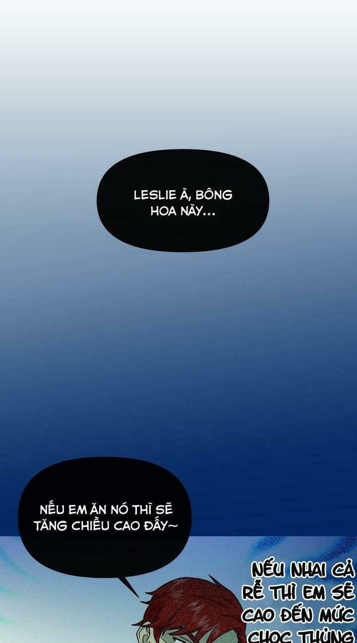 page_31.jpg