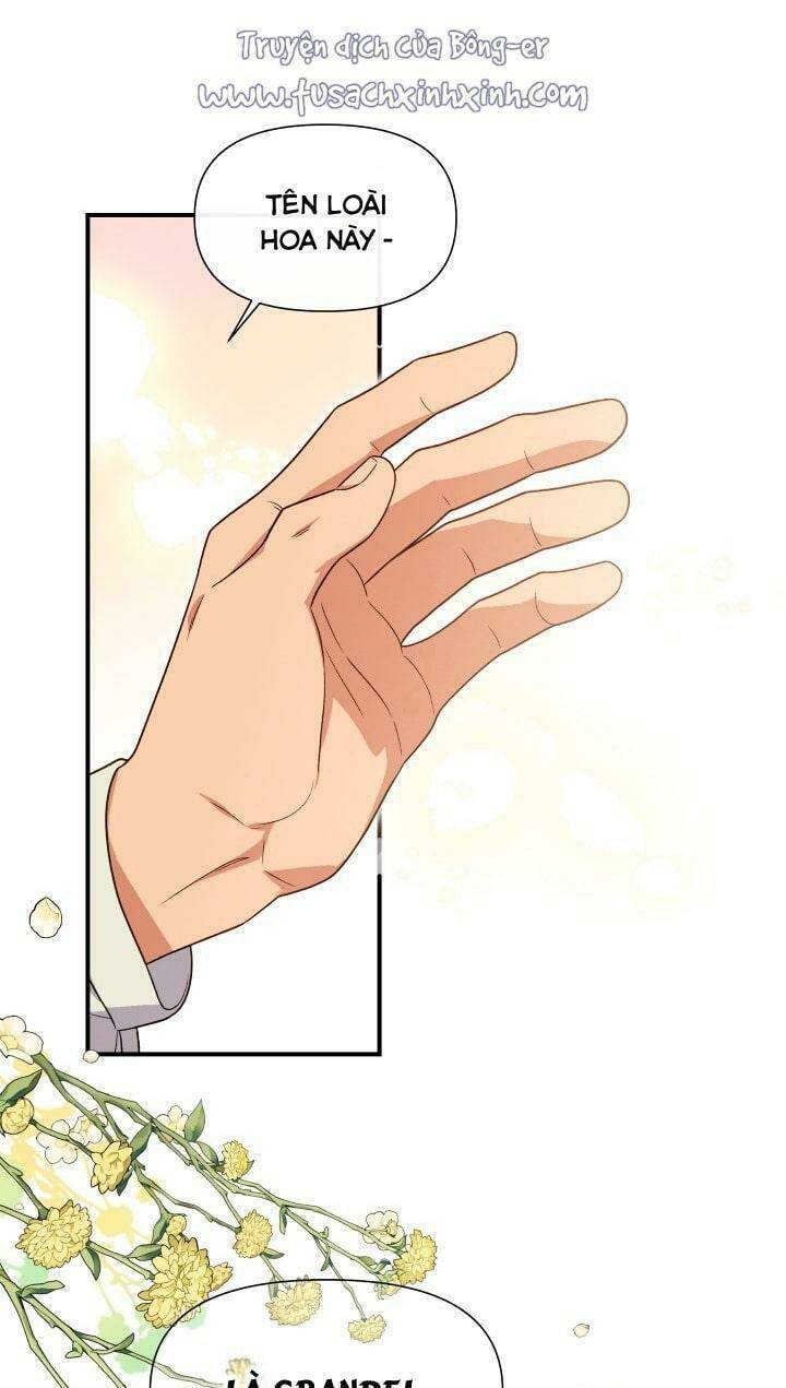 page_38.jpg