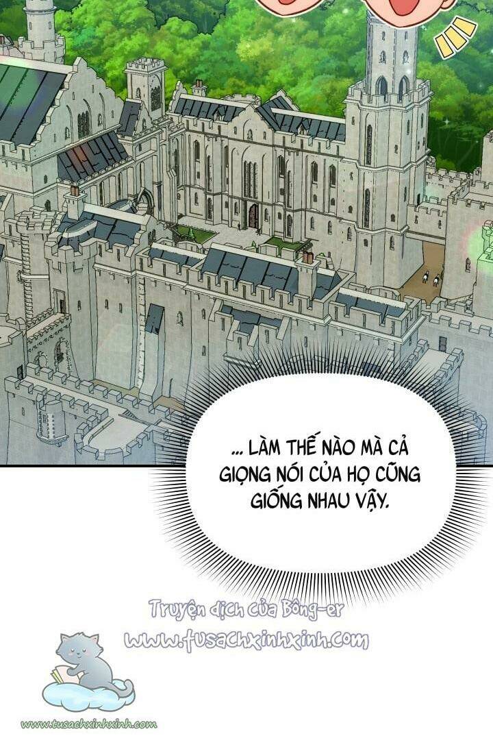 page_19.jpg