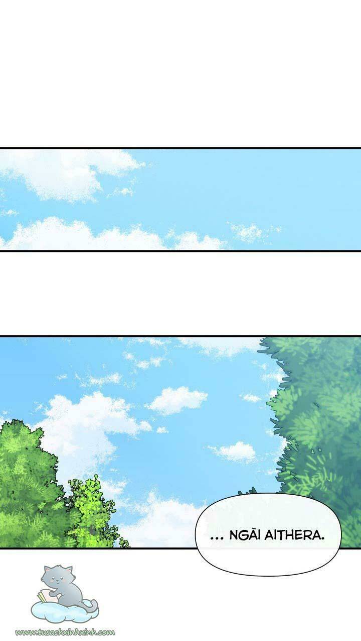 page_31.jpg