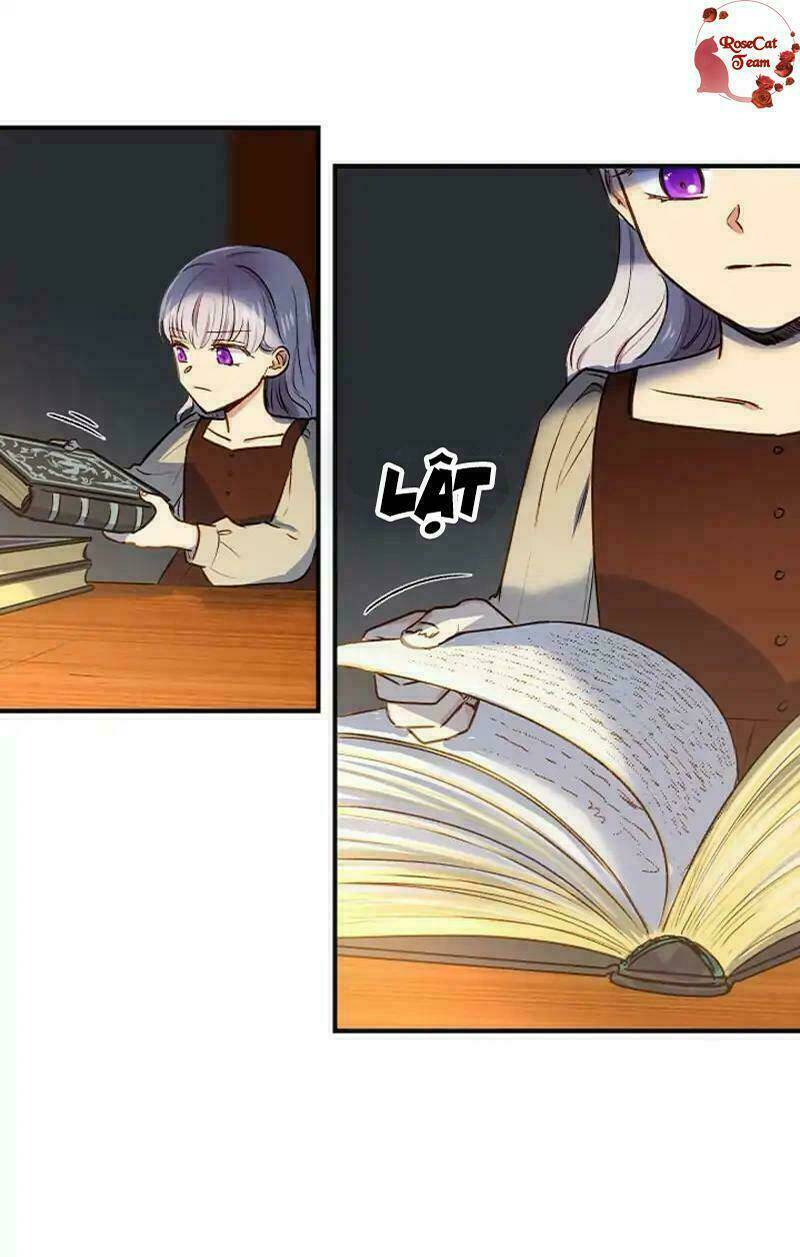 page_28.jpg