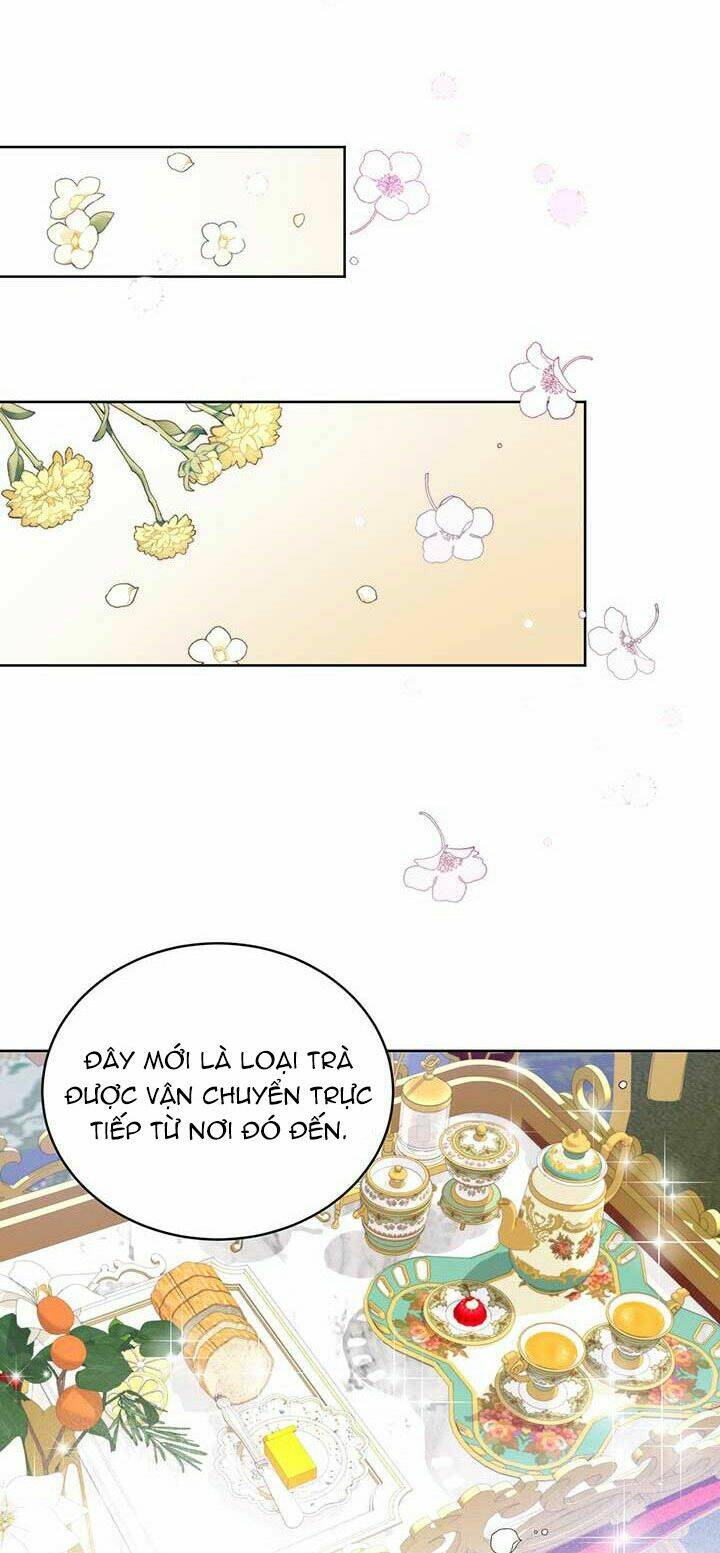 page_40.jpg