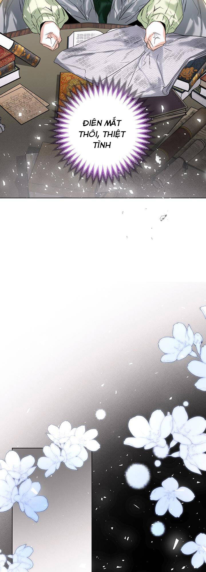 page_21.jpg