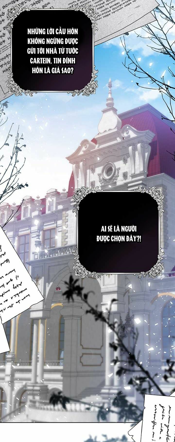 page_32.jpg