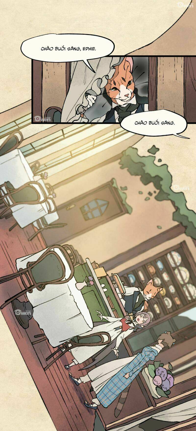page_13.jpg