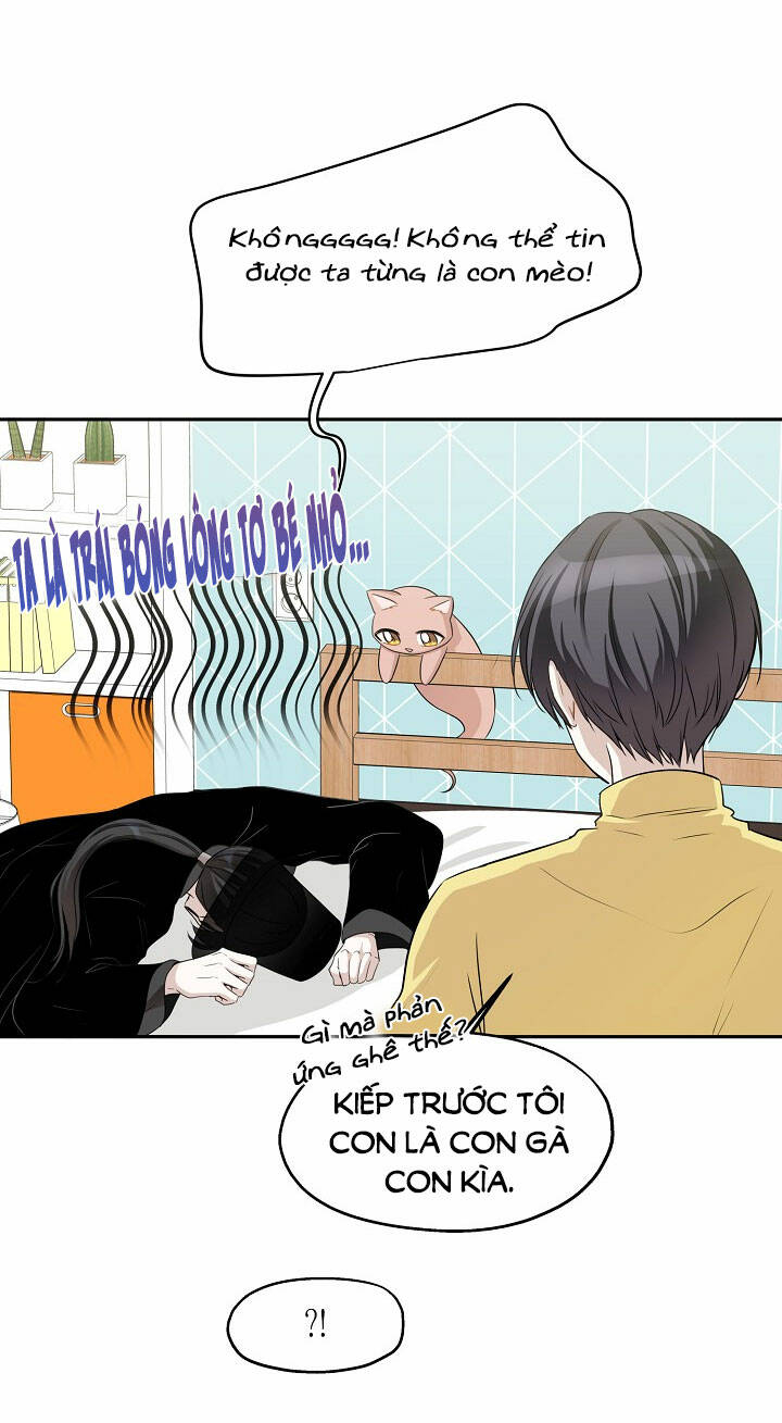 page_17.jpg