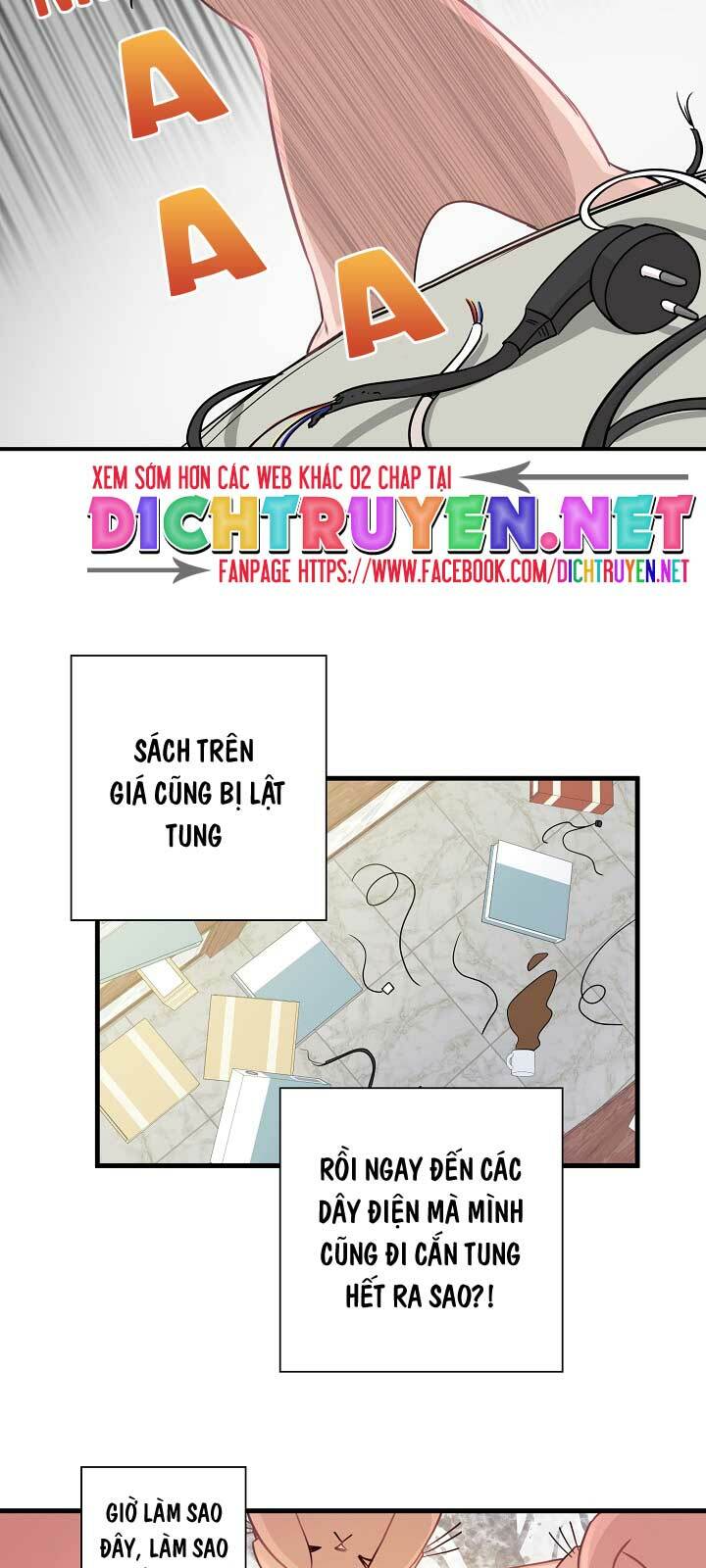 page_24.jpg