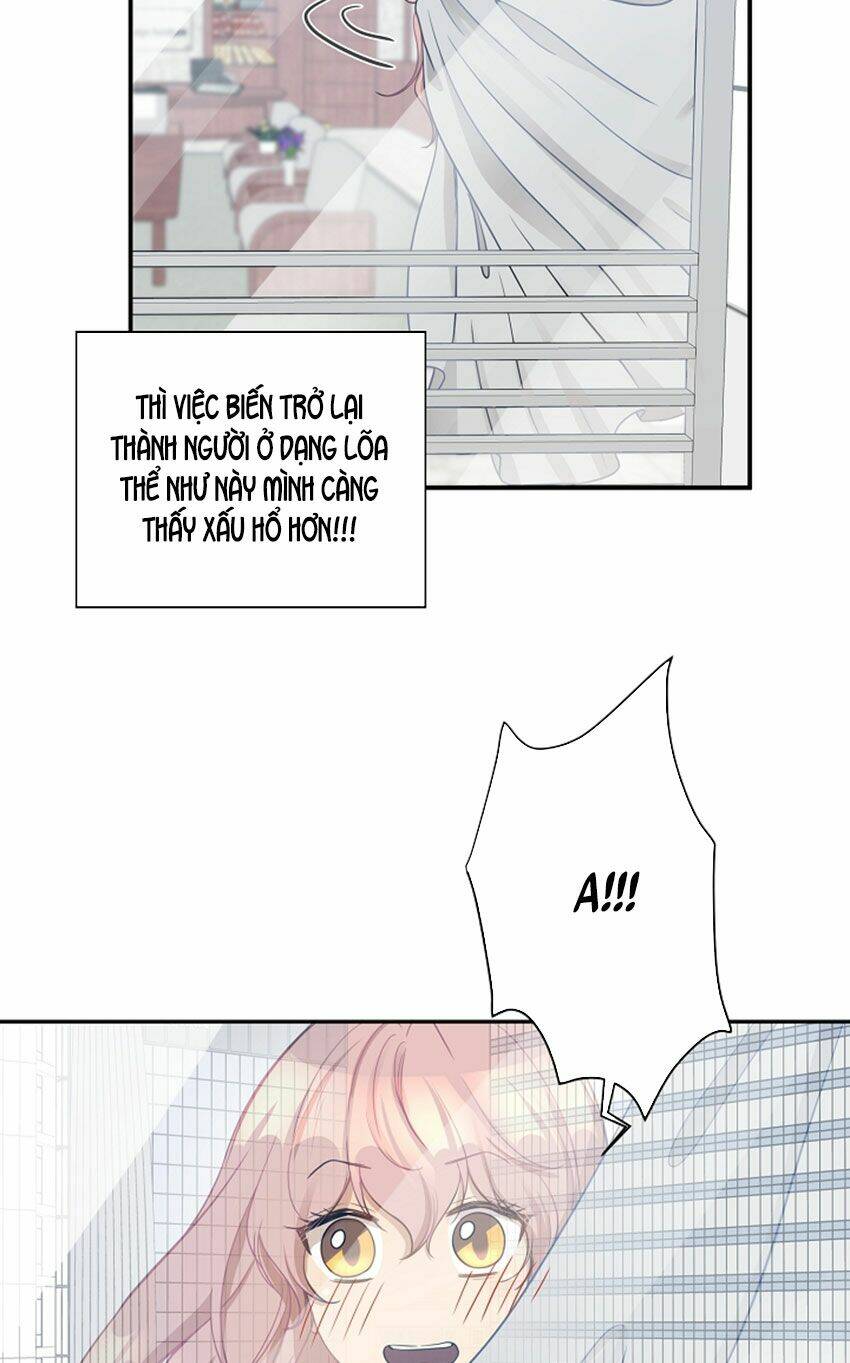 page_3.jpg