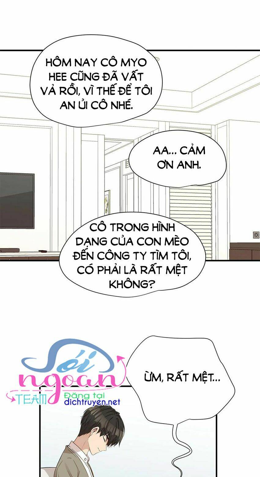 page_40.jpg