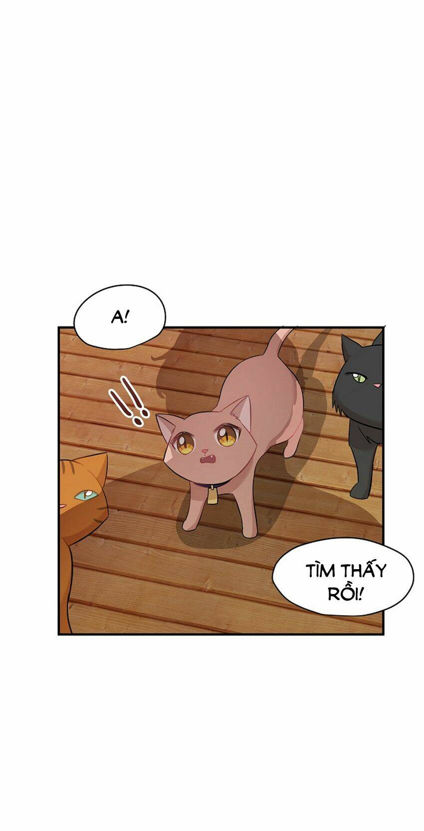page_21.jpg