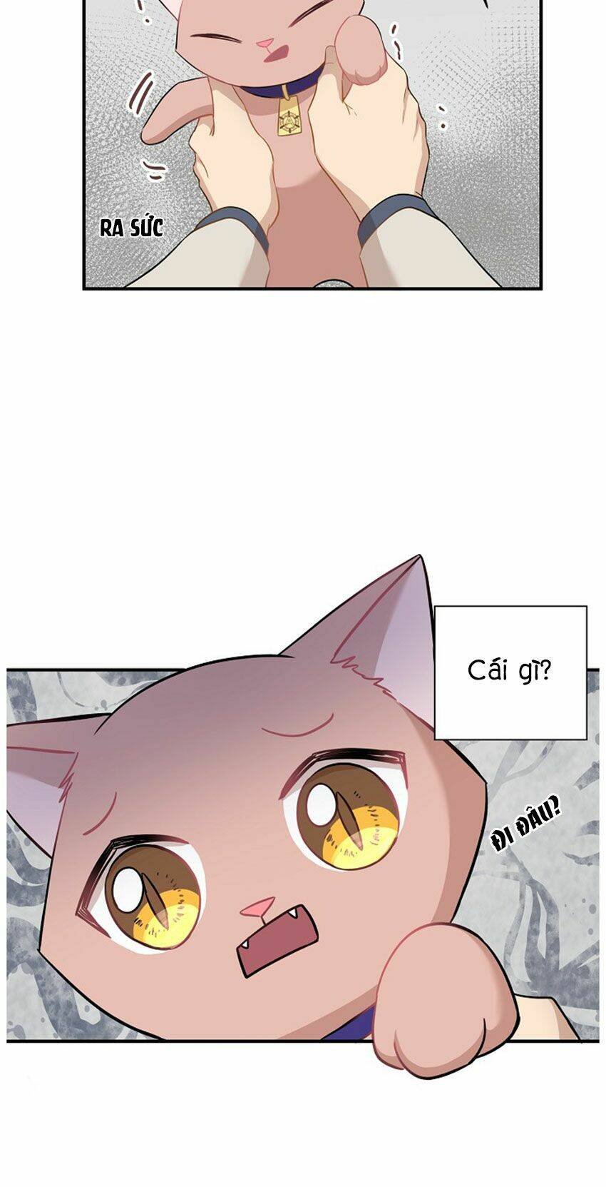 page_24.jpg