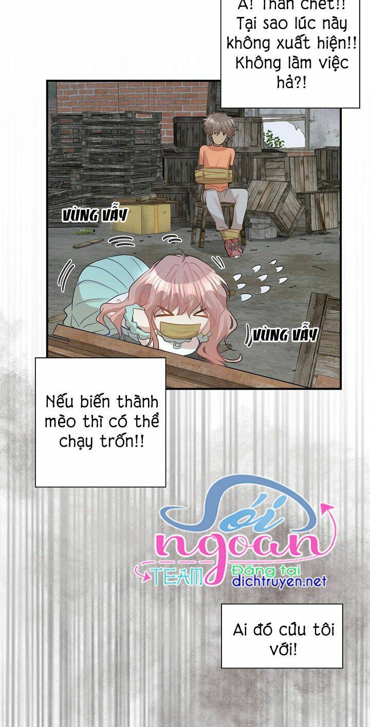 page_19.jpg