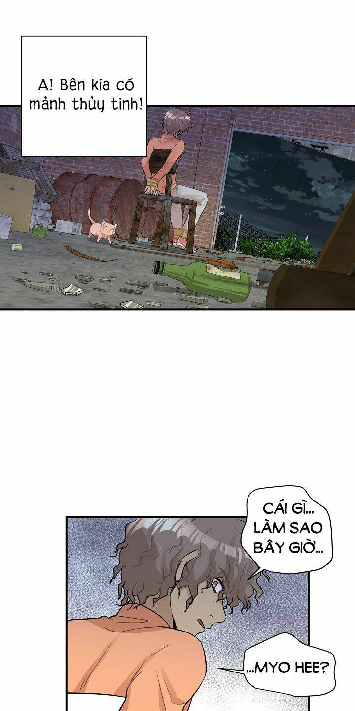 page_25.jpg