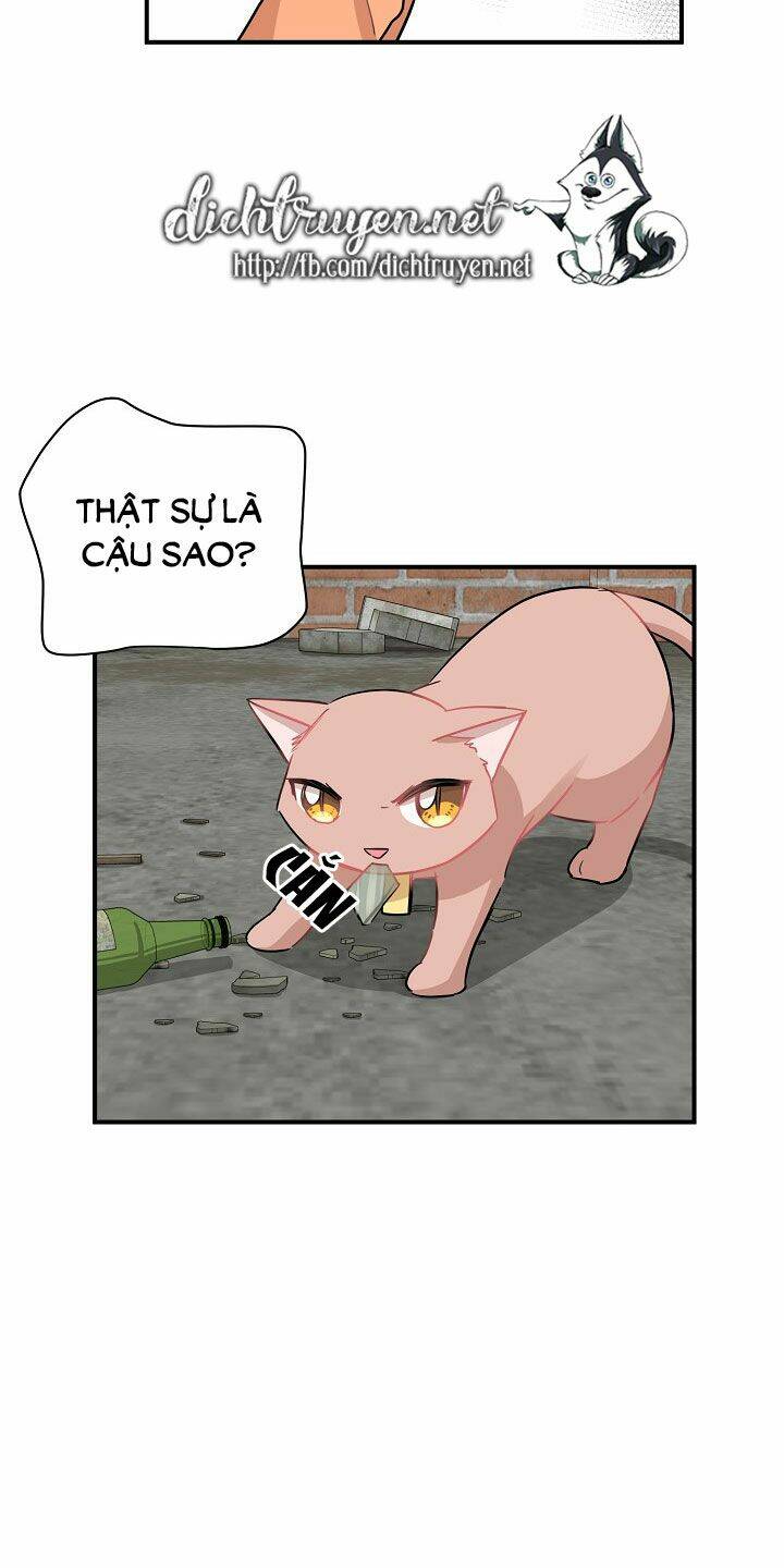 page_26.jpg