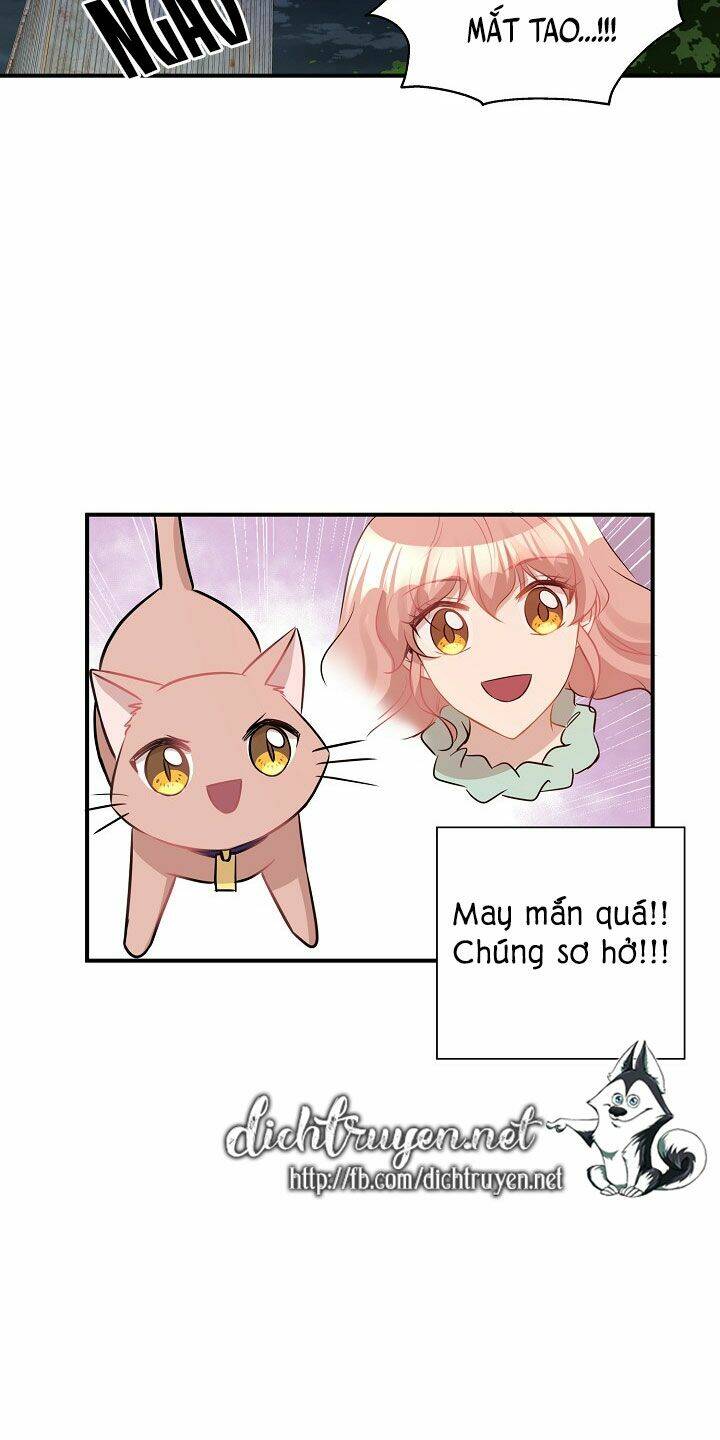 page_37.jpg