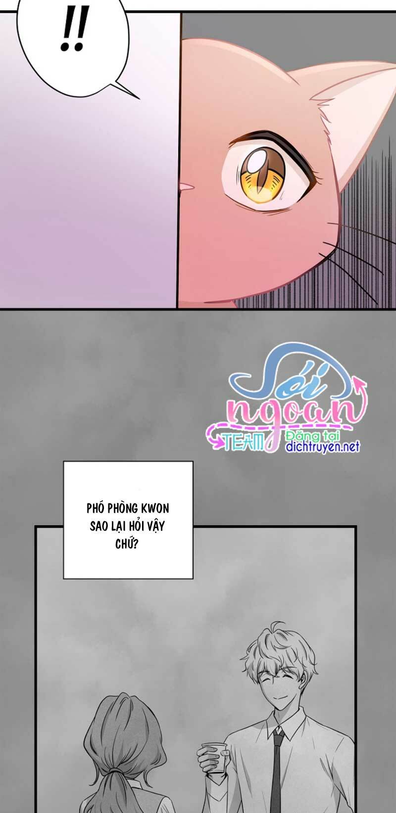 page_22.jpg