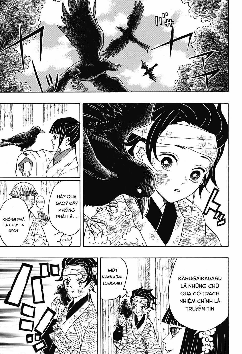 page_17.jpg