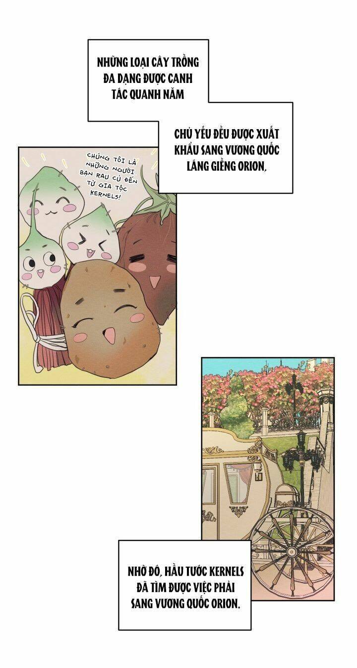 page_11.jpg
