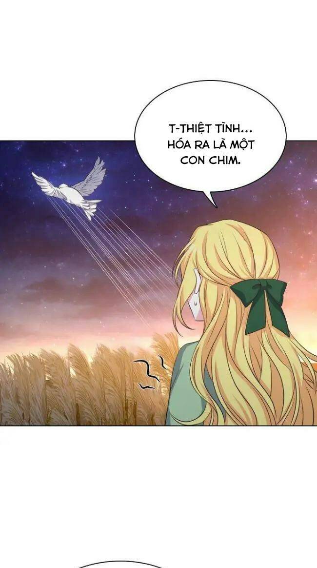 page_23.jpg