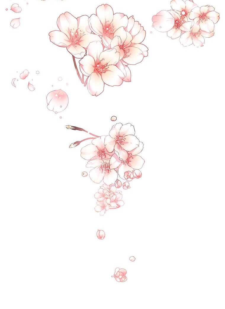 page_16.jpg
