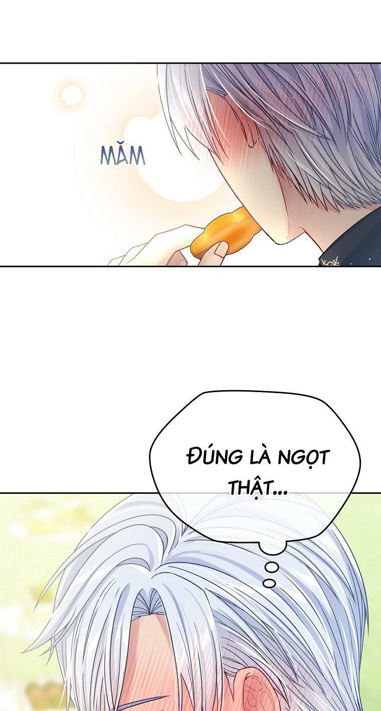 page_19.jpg
