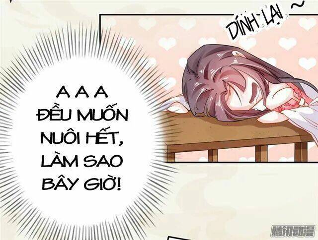 page_20.jpg