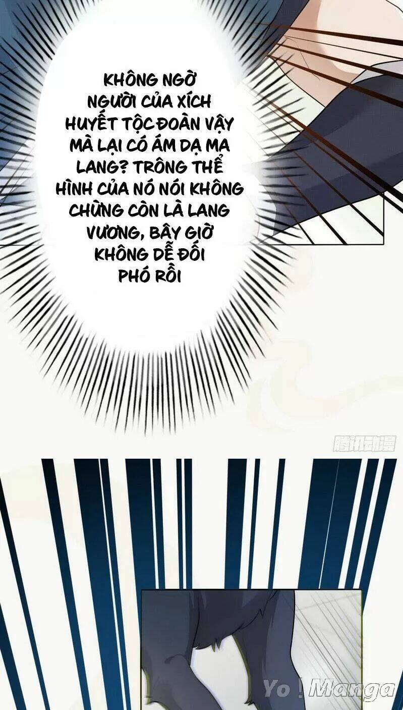 page_26.jpg
