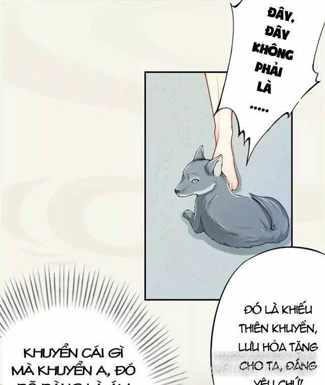 page_26.jpg