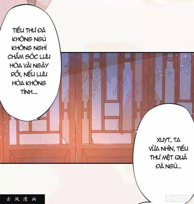 page_24.jpg