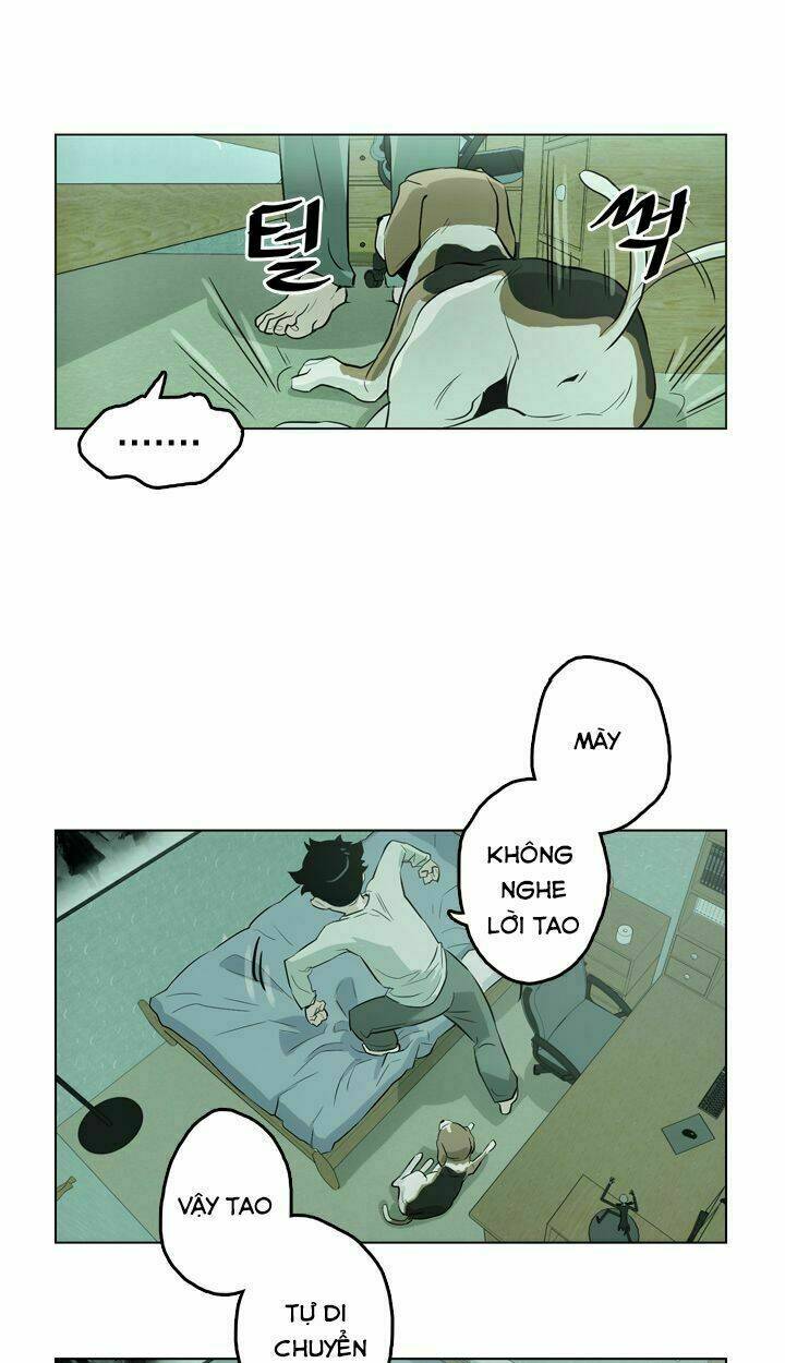 page_11.jpg