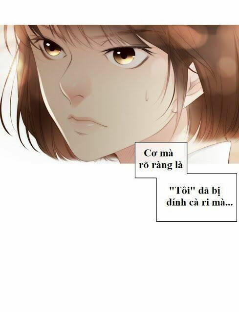 page_25.jpg