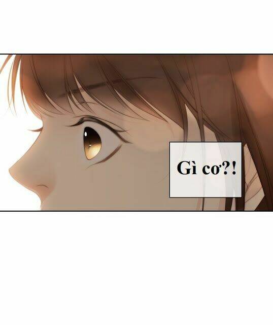 page_29.jpg