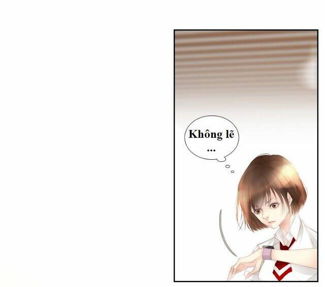 page_29.jpg