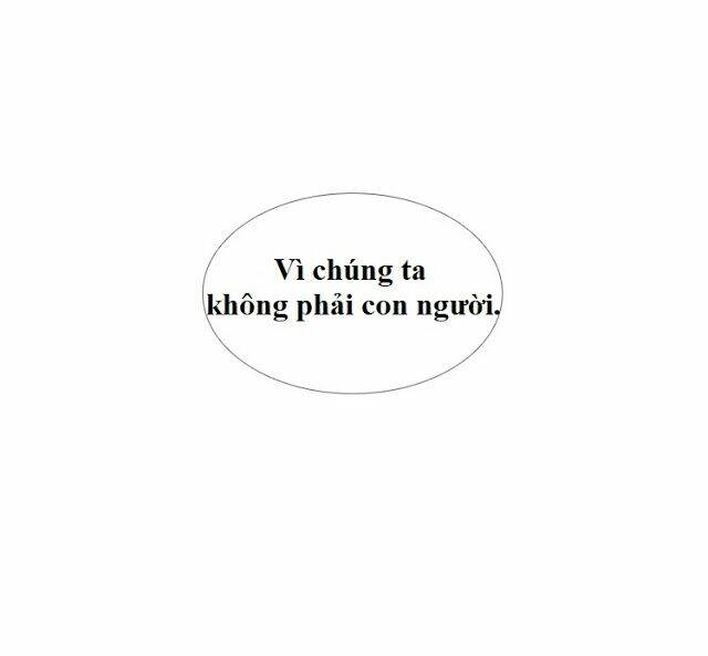 page_34.jpg